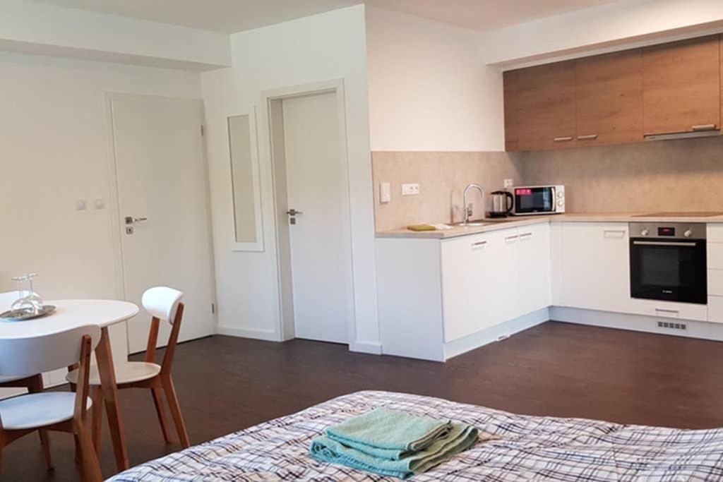 Suite With Back Garden Karlovy Vary Exterior photo